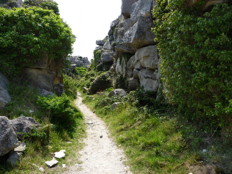Tout Quarry Sculpture Park and Nature Reserve Trip Packages