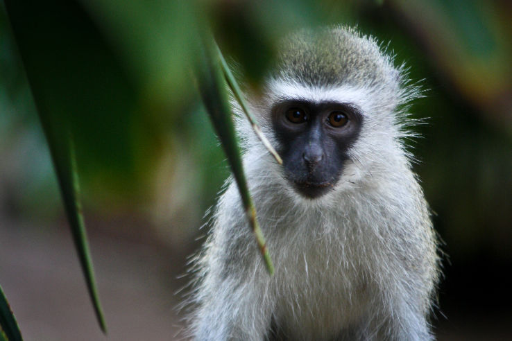 Mitchell Park and Jameson Park Trip Packages