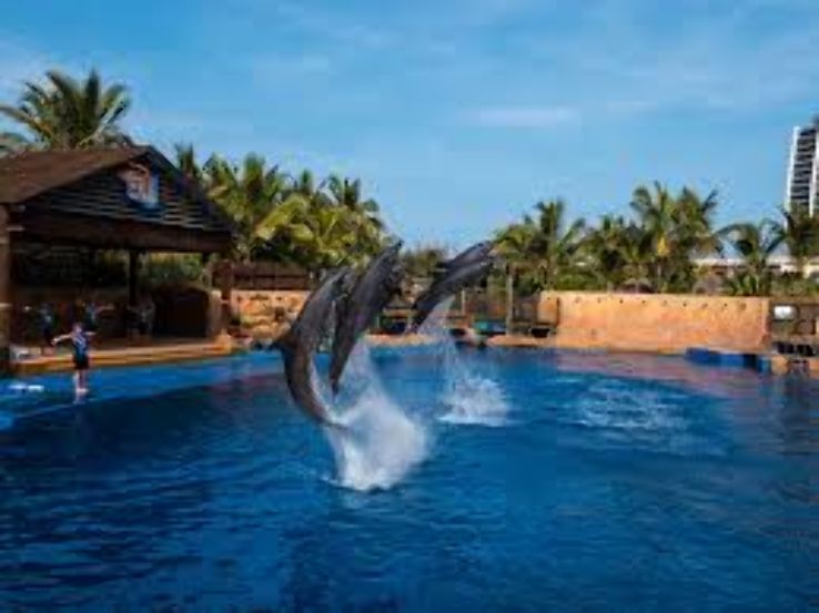 Ushaka Marine World Trip Packages