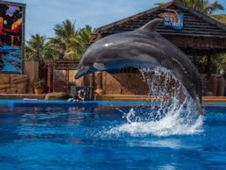 Ushaka Marine World Trip Packages