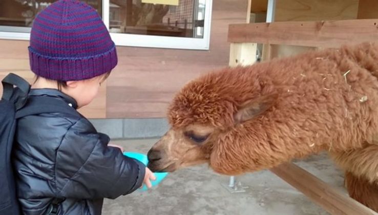 Bando Tourism Exchange Center Shuroku Trip Packages