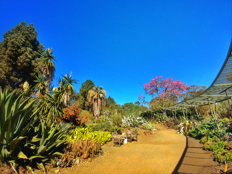 Ruth Bancroft Garden Trip Packages