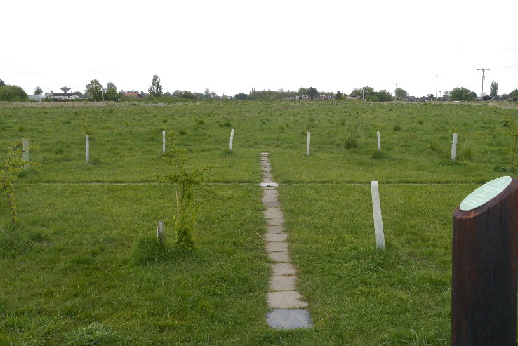 Jennys Wood Trip Packages