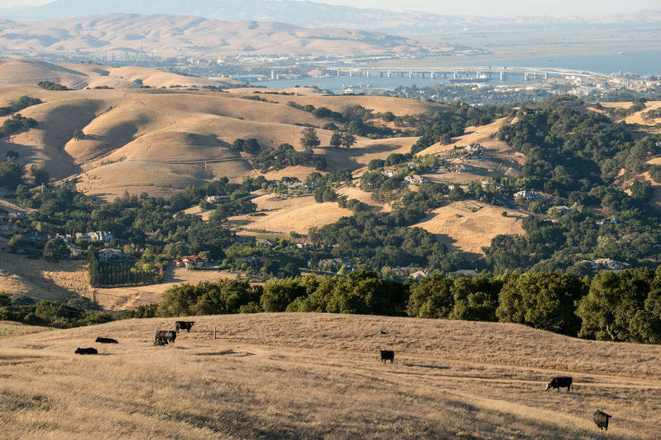 Mt. Diablo State Park Trip Packages
