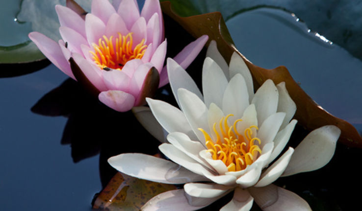 Park Seleger Moor Trip Packages