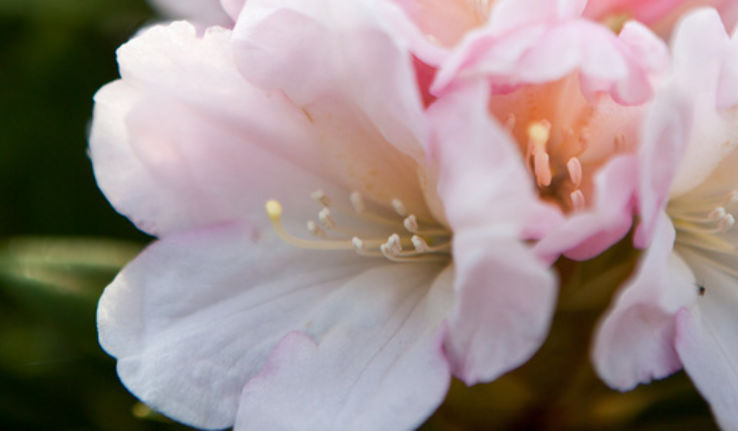 Park Seleger Moor Trip Packages