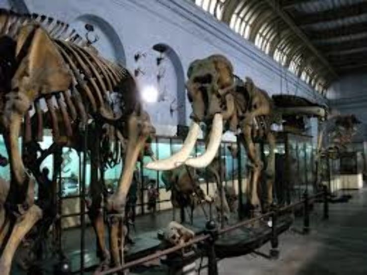 Indian Museum Trip Packages