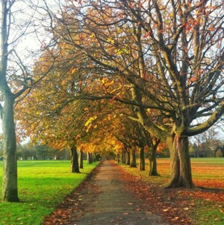 Woodheys Park Trip Packages