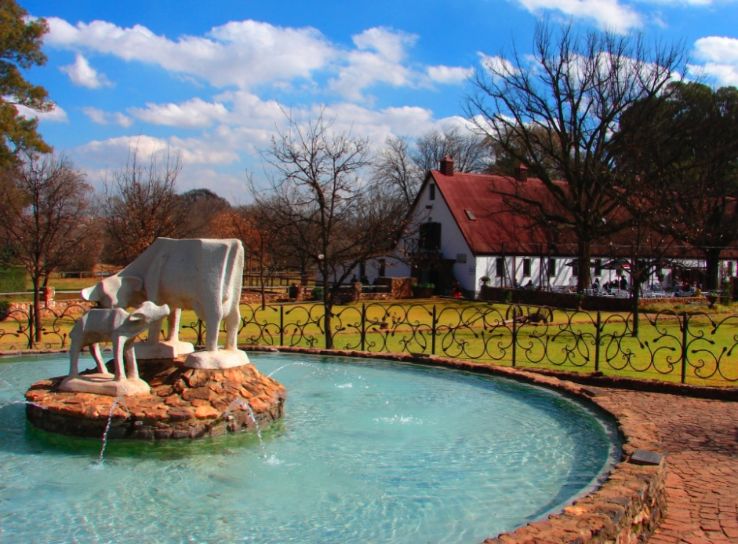 The Irene Dairy Farm Trip Packages