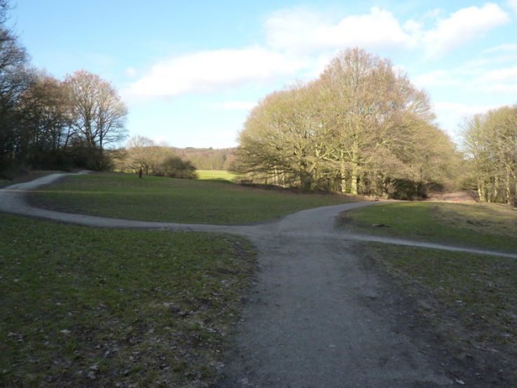 Allestree Park  Trip Packages