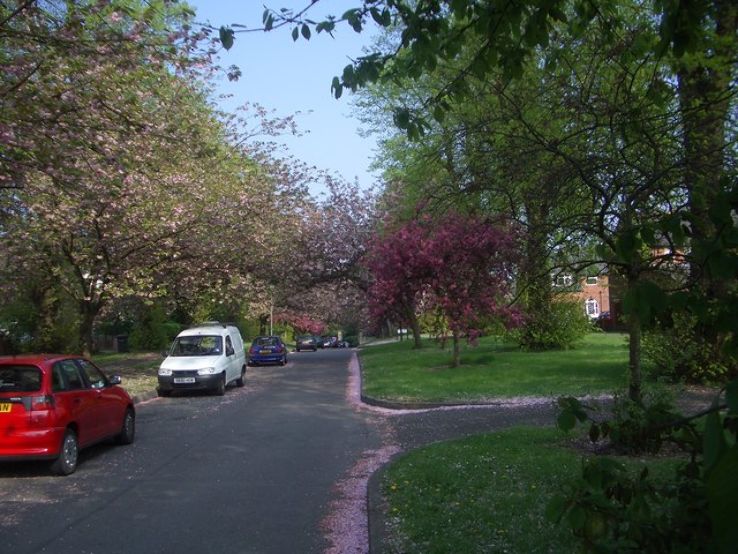 Darley Park  Trip Packages