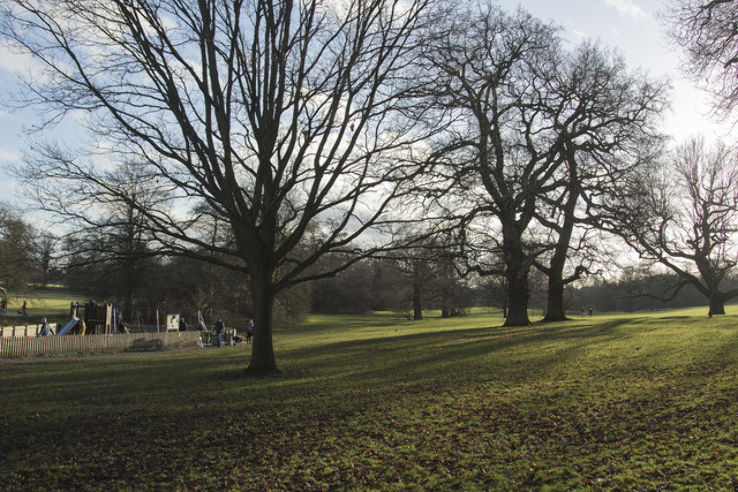 Darley Park  Trip Packages