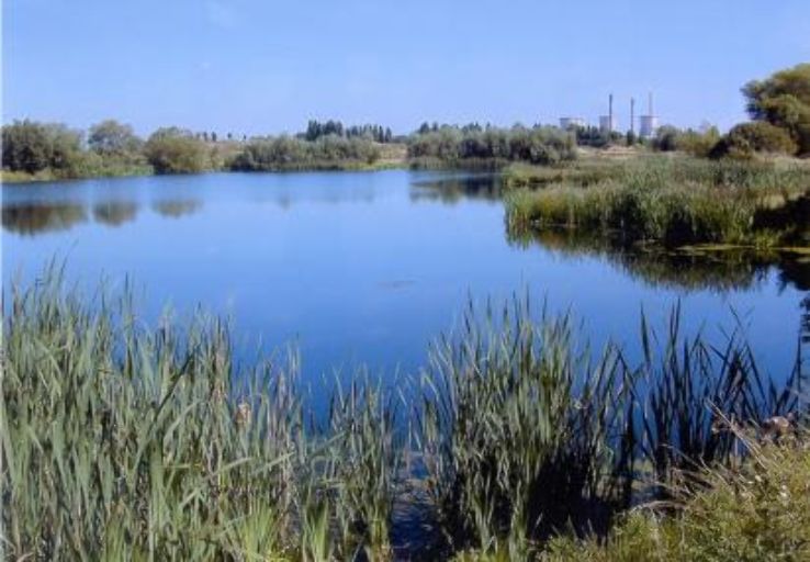 Willington Gravel Pits Nature Reserve  Trip Packages