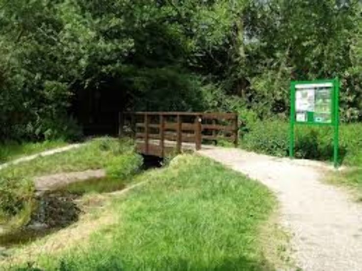 Sunnydale Park Trip Packages