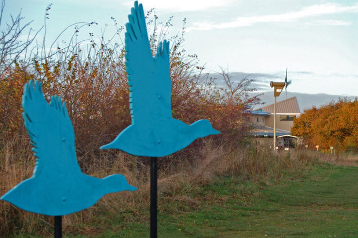 Whisby Nature Park  Trip Packages