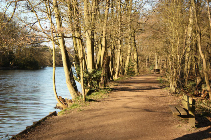 Hartsholme Country Park  Trip Packages