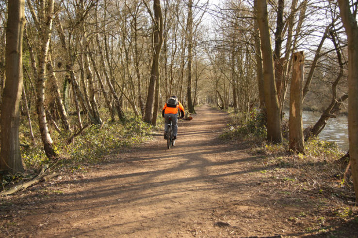 Hartsholme Country Park  Trip Packages