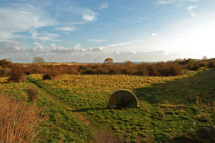 Greetwell Hollow Nature Reserve  Trip Packages