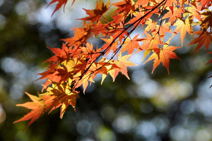 Hikarigaoka Park Trip Packages