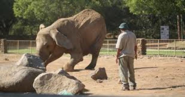 Bloemfontein Zoo Trip Packages