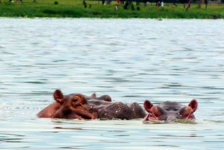Hippo Point Trip Packages