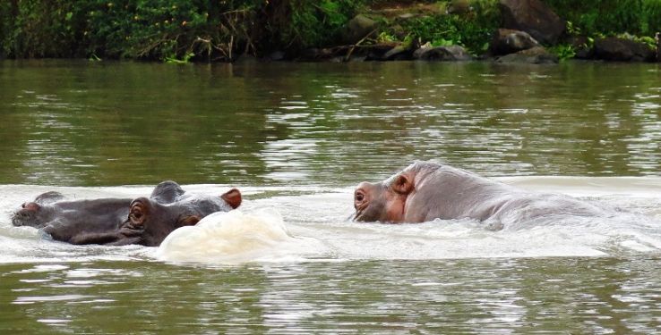 Hippo Point Trip Packages