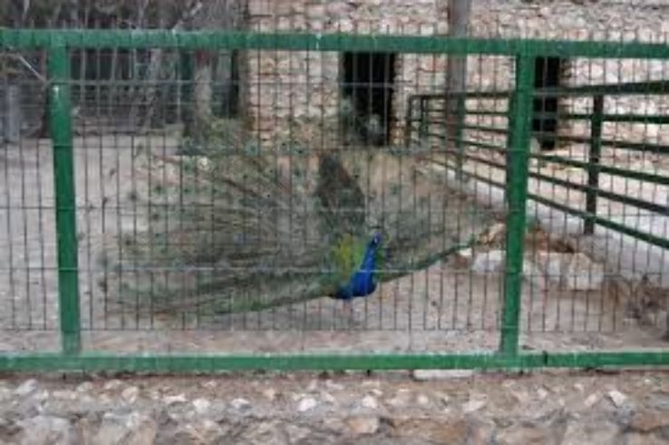 Guadalajara Zoo  Trip Packages