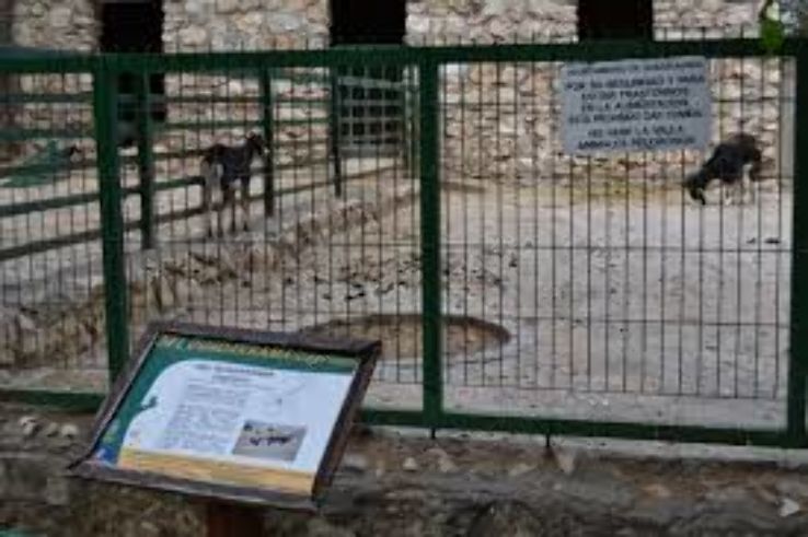 Guadalajara Zoo  Trip Packages