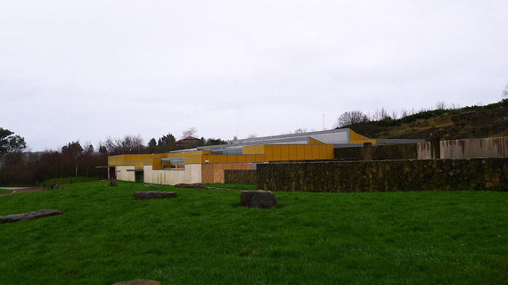 National Museum and Research Center of Altamira Trip Packages