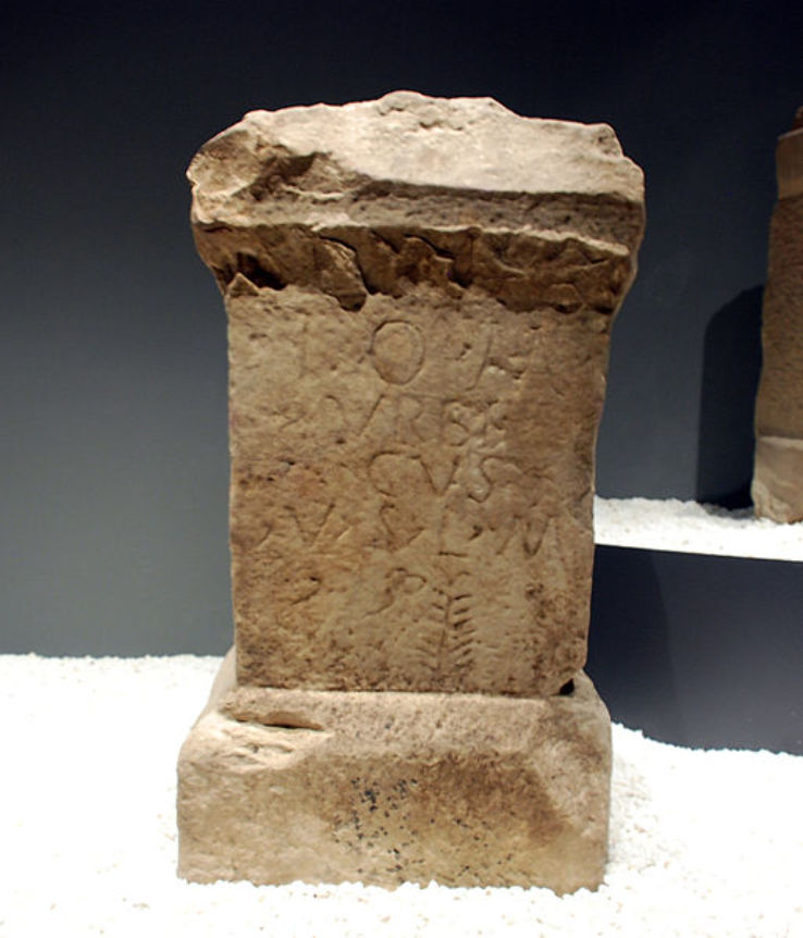 Cantabria Prehistory and Archaeology Museum Trip Packages