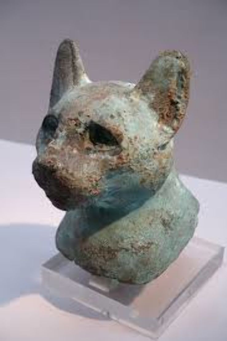 Cat Museum Trip Packages