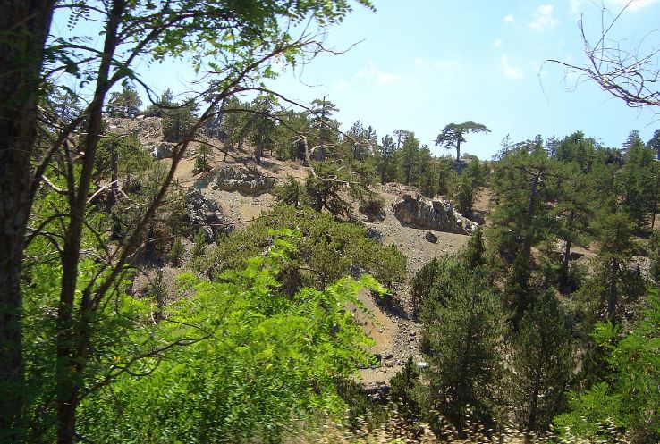  Mount Elgon National Park Trip Packages