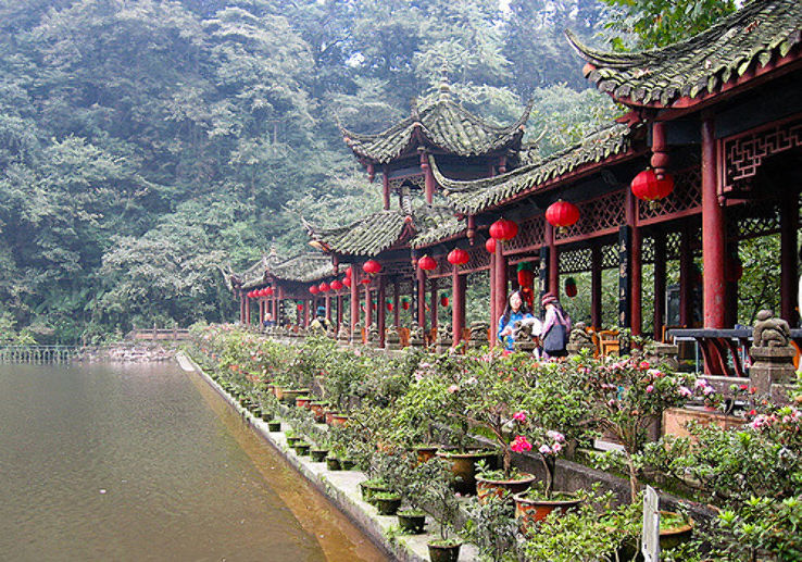 Mount Qingcheng Trip Packages