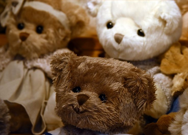  Chengdu Teddy Bear Museum Trip Packages