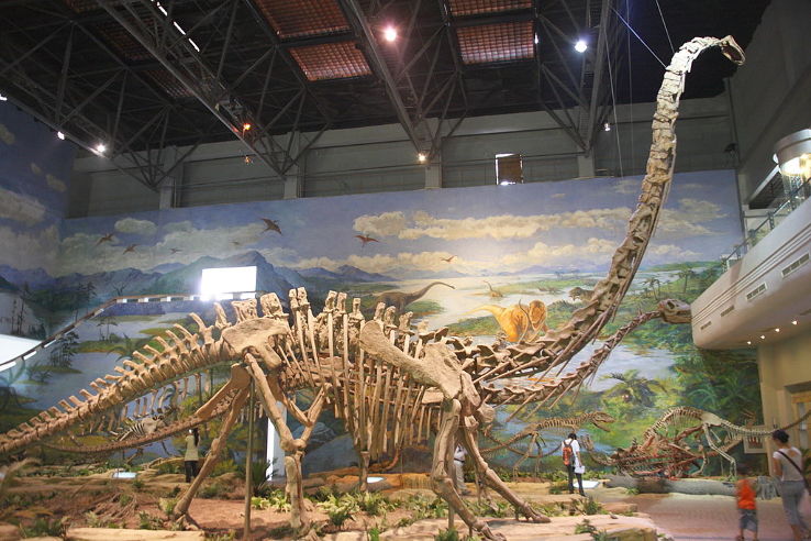  Dinosaur Museum in Zigong Trip Packages