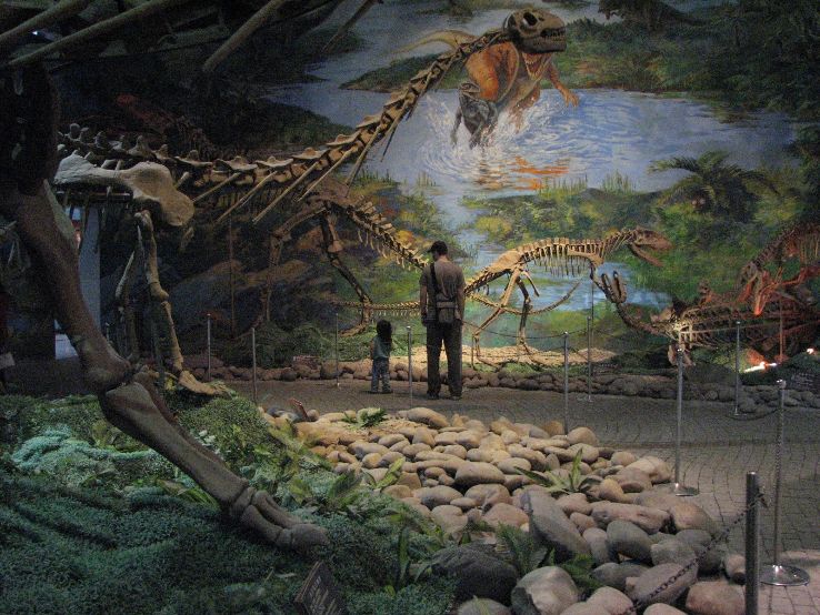  Dinosaur Museum in Zigong Trip Packages