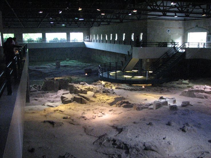  Dinosaur Museum in Zigong Trip Packages