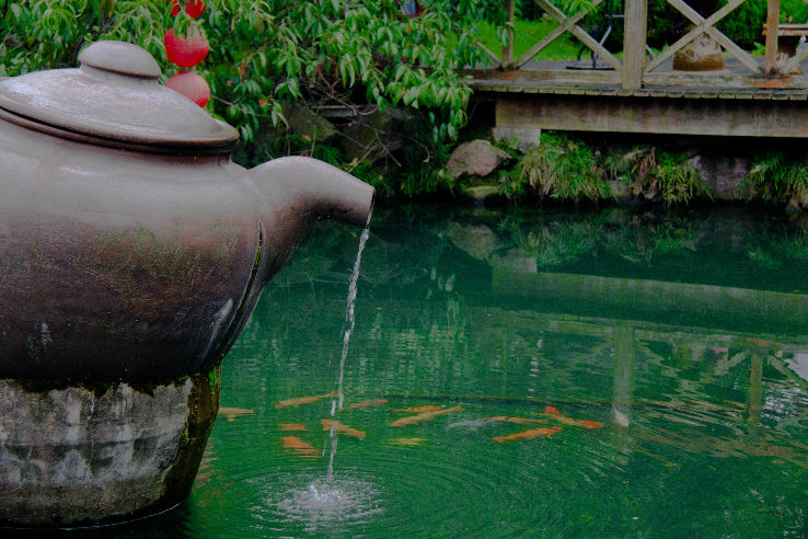 Dragon well tea village Trip Packages