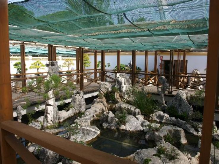 Culture Trip Packages