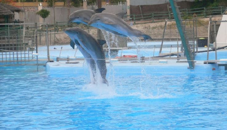 Family Fun Trip Packages Family Fun Trip Packages