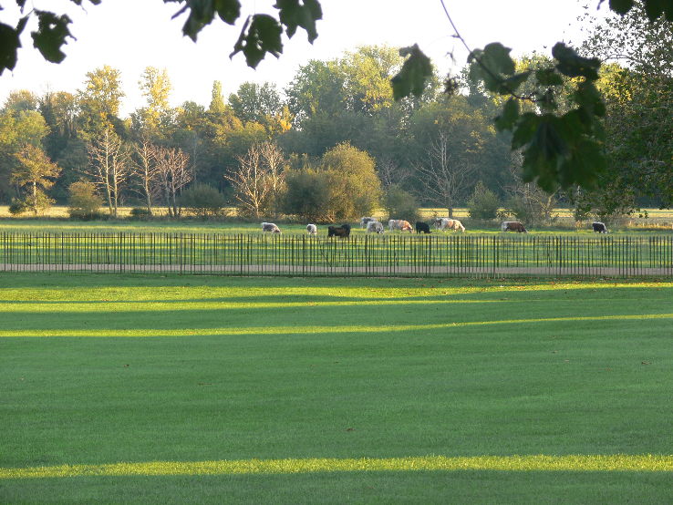 Christ Church Meadow Trip Packages