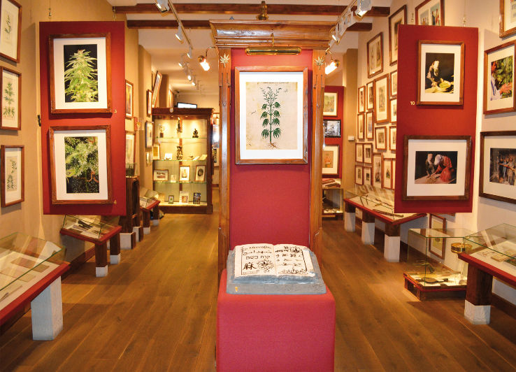 Hash, Marihuana & Hemp Museum Trip Packages