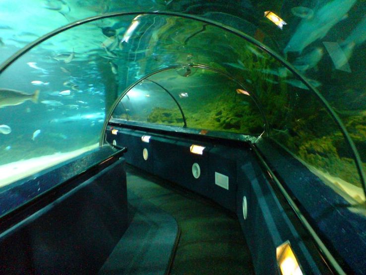 Kelly Tarltons Sea Life Aquarium Trip Packages