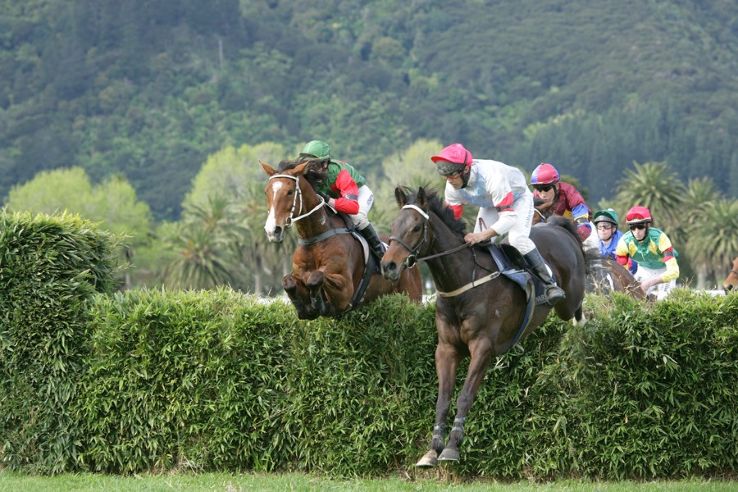 National Horse Racing Museum  Trip Packages