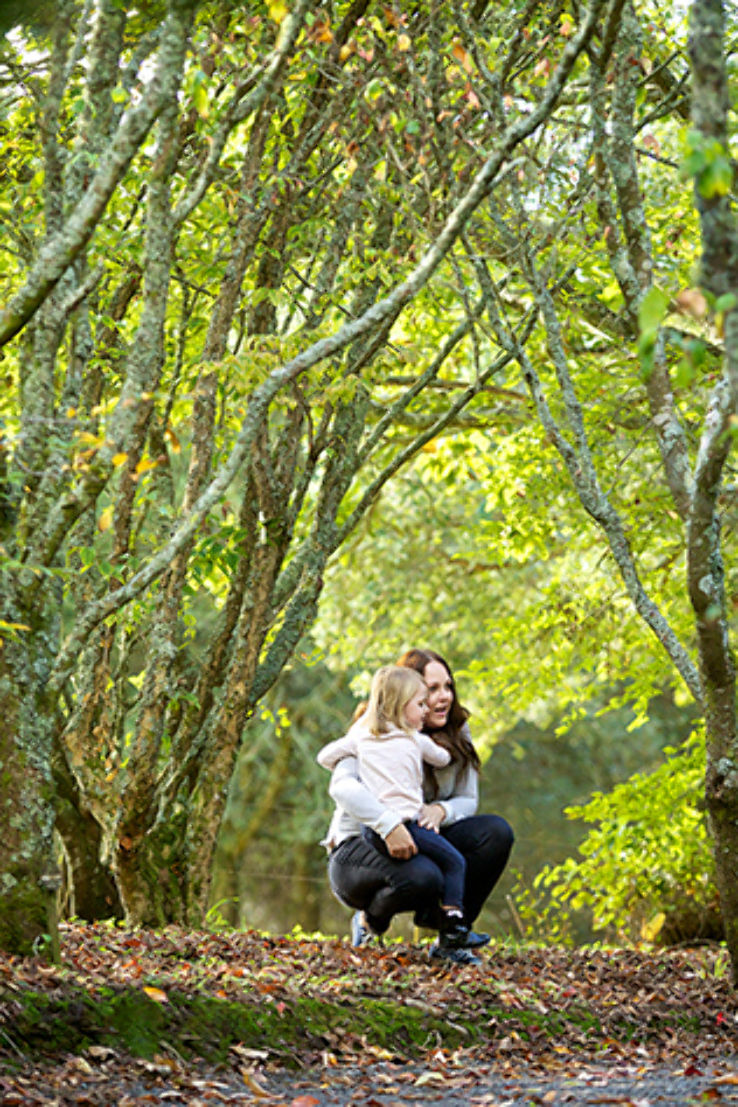 Taitua Arboretum Trip Packages Taitua Arboretum Trip Packages