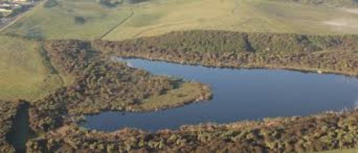 Waiwhakareke Natural Heritage Park Trip Packages