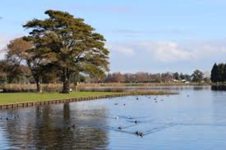 Lake Rotoroa Waikato Trip Packages