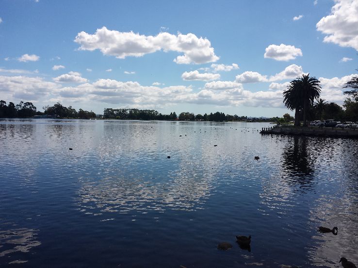 Lake Rotoroa Waikato Trip Packages