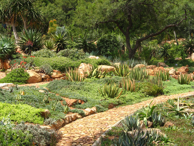 Johannesburg Botanical Garden Trip Packages