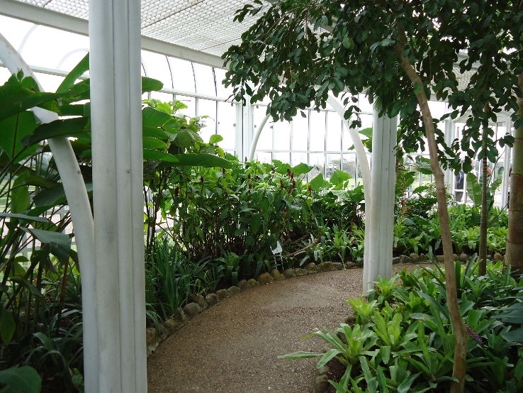 Jardim Botanico Trip Packages